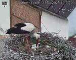 Capi_Dubne_20250527_100003.jpg