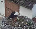 Capi_Dubne_20250527_105002.jpg