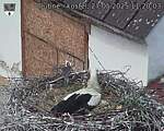 Capi_Dubne_20250527_112003.jpg