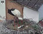 Capi_Dubne_20250527_113503.jpg