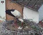 Capi_Dubne_20250527_114002.jpg