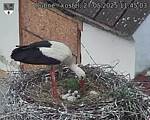 Capi_Dubne_20250527_114503.jpg