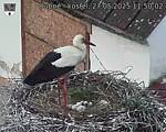Capi_Dubne_20250527_115002.jpg