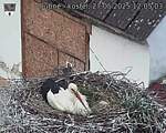 Capi_Dubne_20250527_120503.jpg