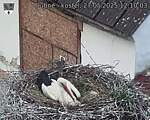 Capi_Dubne_20250527_121003.jpg