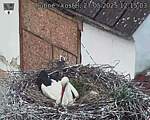 Capi_Dubne_20250527_121503.jpg
