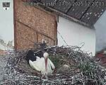 Capi_Dubne_20250527_122003.jpg