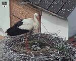 Capi_Dubne_20250527_122503.jpg