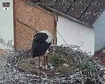 Capi_Dubne_20250527_124003.jpg