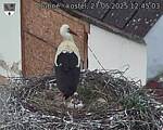 Capi_Dubne_20250527_124503.jpg