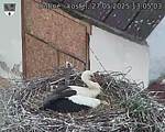 Capi_Dubne_20250527_130503.jpg