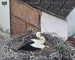 Capi_Dubne_20250527_131003.jpg