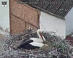 Capi_Dubne_20250527_131503.jpg