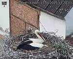 Capi_Dubne_20250527_132003.jpg