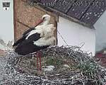 Capi_Dubne_20250527_133003.jpg