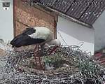 Capi_Dubne_20250527_133503.jpg