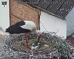 Capi_Dubne_20250527_134503.jpg