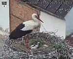 Capi_Dubne_20250527_135003.jpg