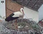 Capi_Dubne_20250527_140003.jpg