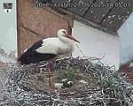 Capi_Dubne_20250527_140503.jpg