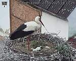 Capi_Dubne_20250527_141729.jpg