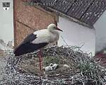 Capi_Dubne_20250527_142003.jpg