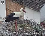 Capi_Dubne_20250527_142503.jpg