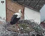 Capi_Dubne_20250527_143004.jpg