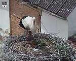 Capi_Dubne_20250527_144003.jpg