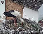 Capi_Dubne_20250527_144503.jpg