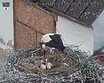 Capi_Dubne_20250527_145003.jpg