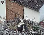 Capi_Dubne_20250527_145503.jpg