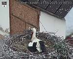 Capi_Dubne_20250527_150003.jpg