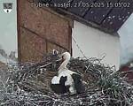 Capi_Dubne_20250527_150502.jpg