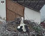 Capi_Dubne_20250527_151003.jpg
