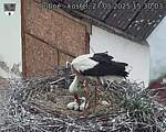 Capi_Dubne_20250527_153003.jpg