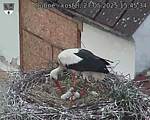 Capi_Dubne_20250527_154535.jpg
