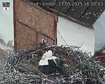 Capi_Dubne_20250527_160003.jpg