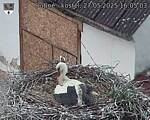Capi_Dubne_20250527_160503.jpg
