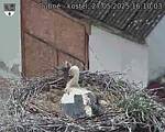 Capi_Dubne_20250527_161003.jpg