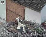Capi_Dubne_20250527_162004.jpg