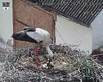 Capi_Dubne_20250527_162503.jpg
