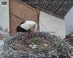 Capi_Dubne_20250527_163637.jpg