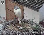 Capi_Dubne_20250527_164004.jpg