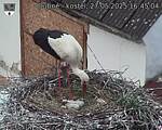Capi_Dubne_20250527_164504.jpg