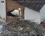 Capi_Dubne_20250527_165202.jpg