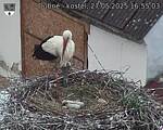 Capi_Dubne_20250527_165503.jpg