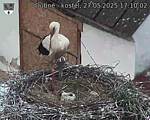 Capi_Dubne_20250527_171002.jpg