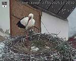 Capi_Dubne_20250527_172002.jpg