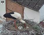 Capi_Dubne_20250527_173022.jpg